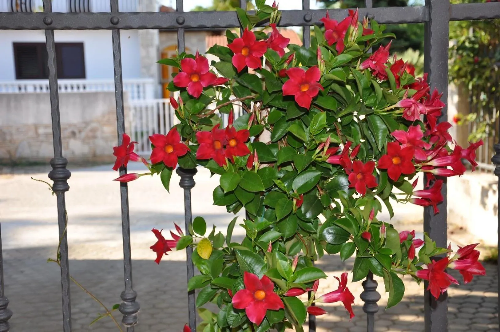 Secret Garden Medulin Hotel 0*,  Croatia
